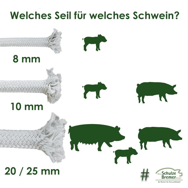 Welche-Seilstaerke-fuer-Schweine